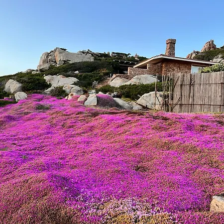 Дом отдыха Doria